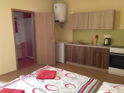 Apartmán č.1 kuchyň