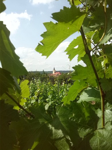 Šatovský kostel